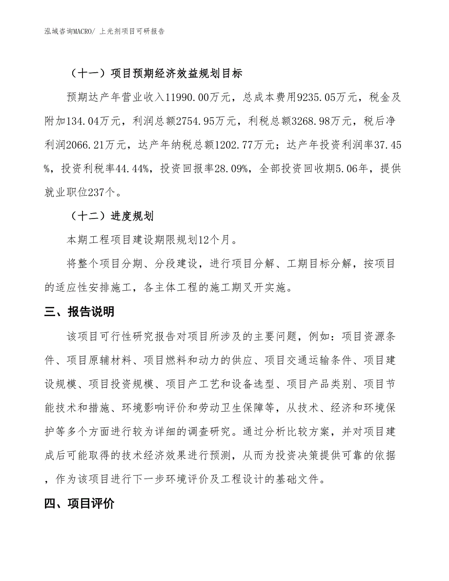 上光剂项目可研报告_第4页