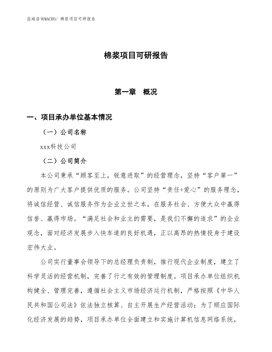 棉浆项目可研报告_第1页