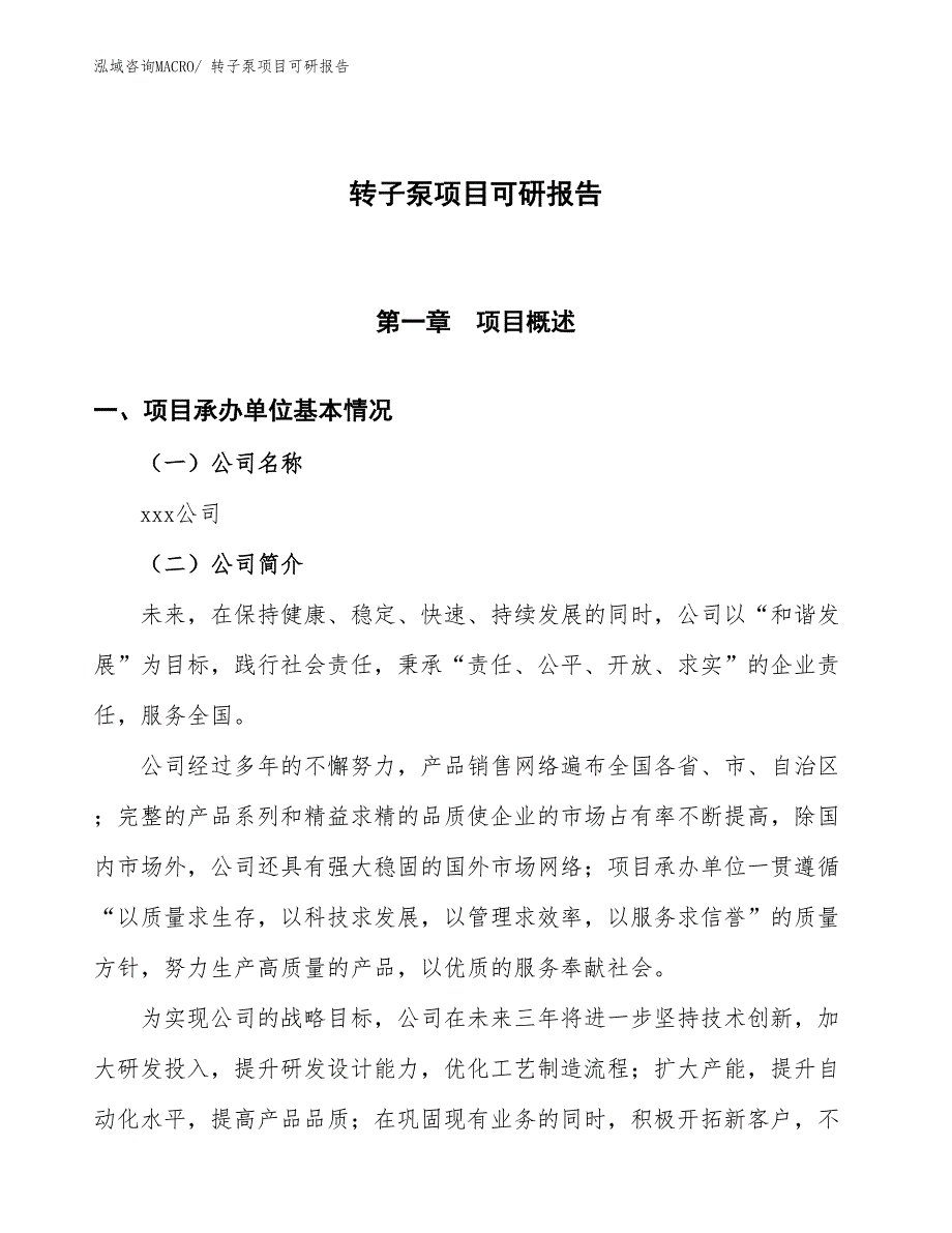 转子泵项目可研报告_第1页