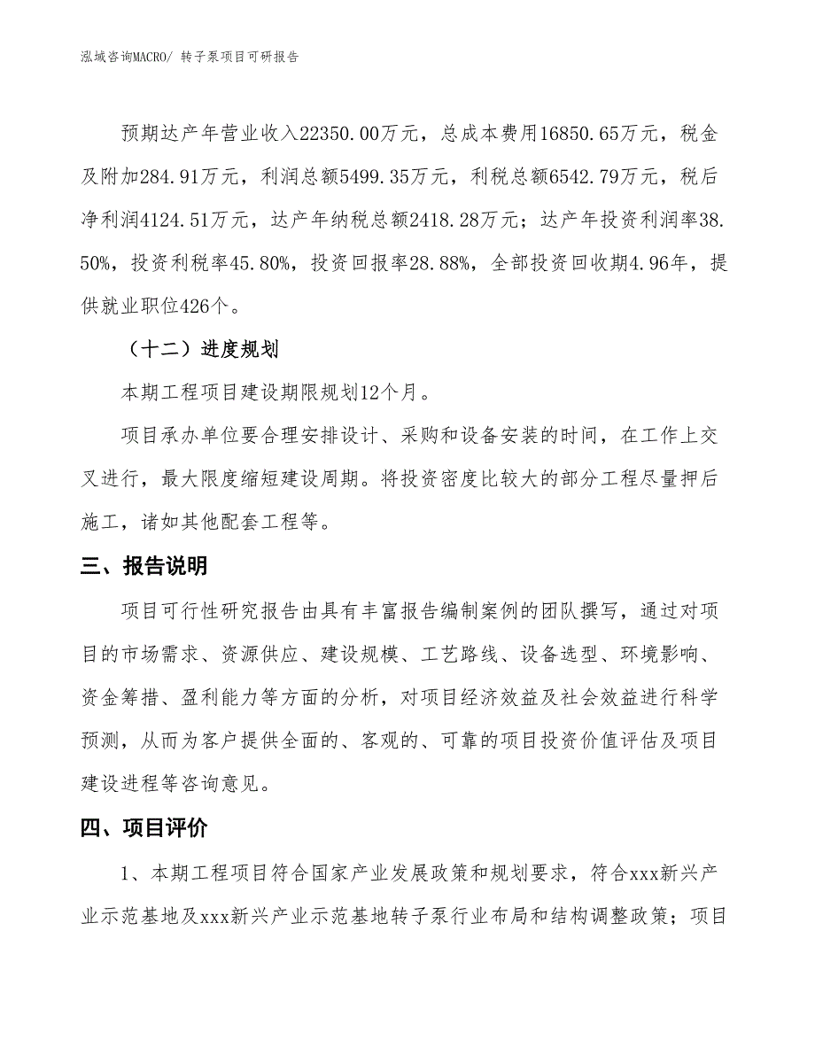 转子泵项目可研报告_第4页