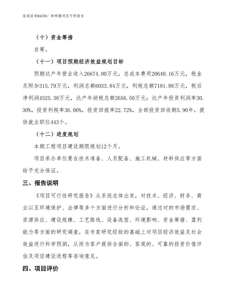 转移膜项目可研报告_第4页