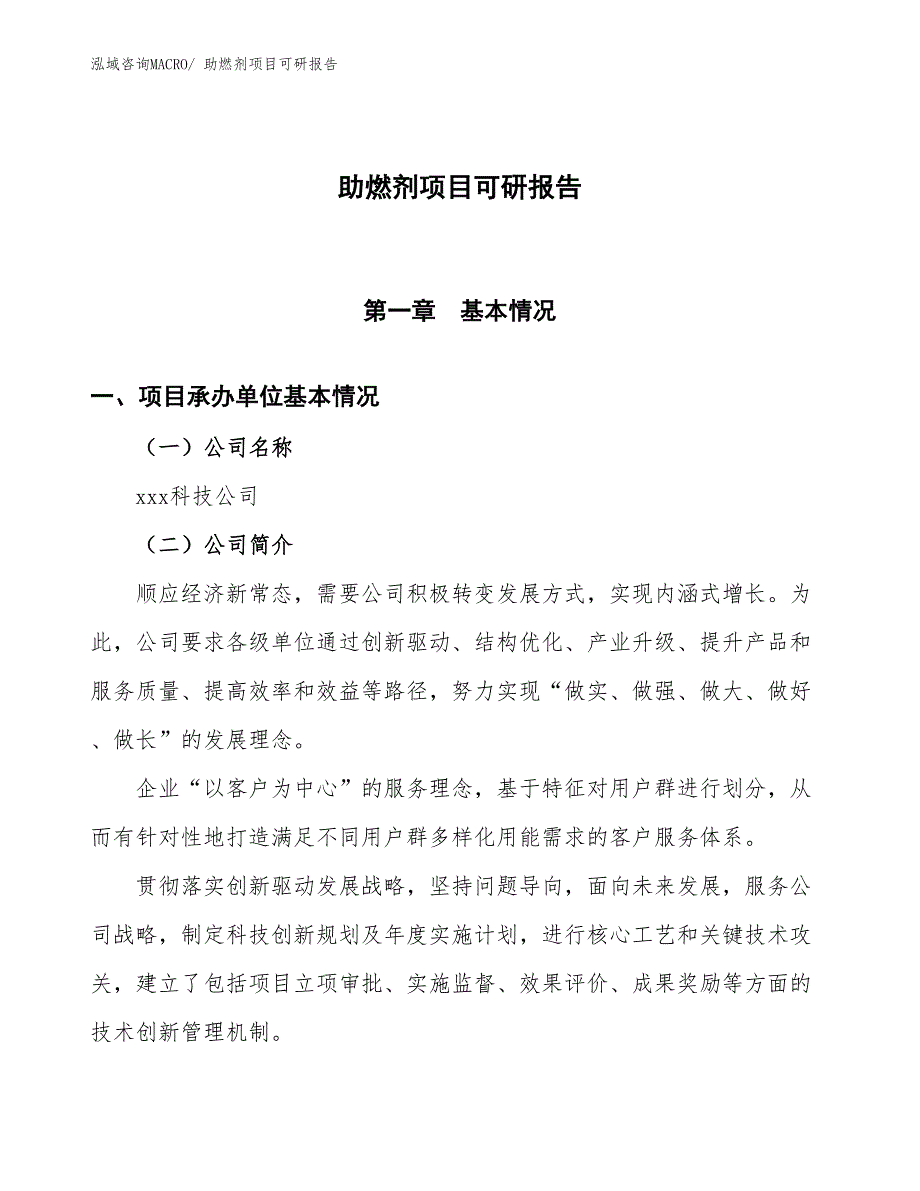 助燃剂项目可研报告_第1页