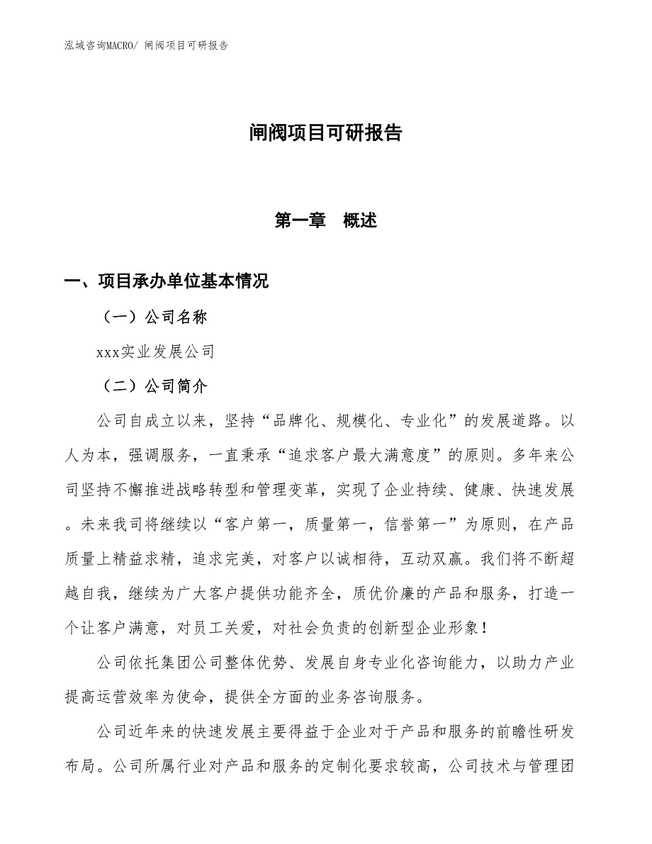 闸阀项目可研报告_第1页