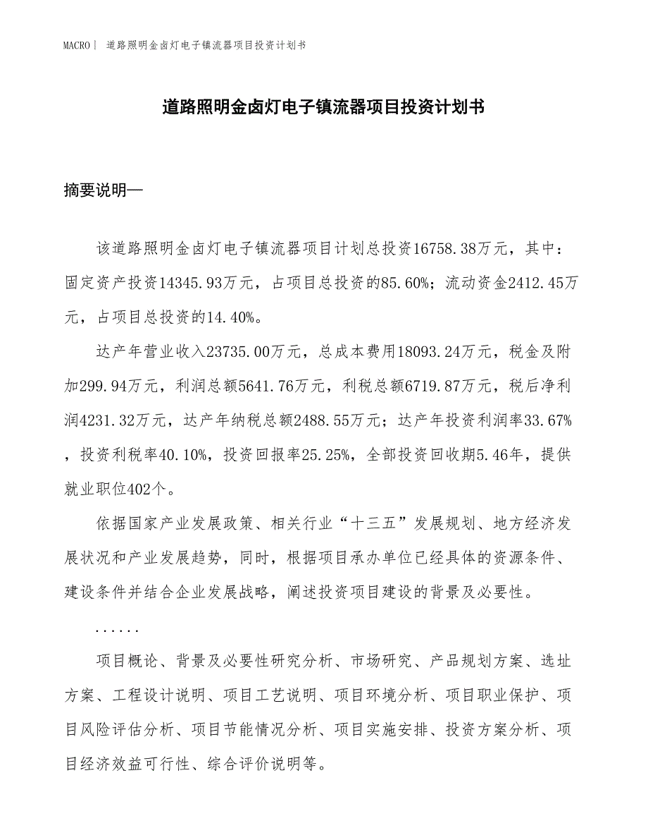 （招商引资报告）道路照明金卤灯电子镇流器项目投资计划书_第1页