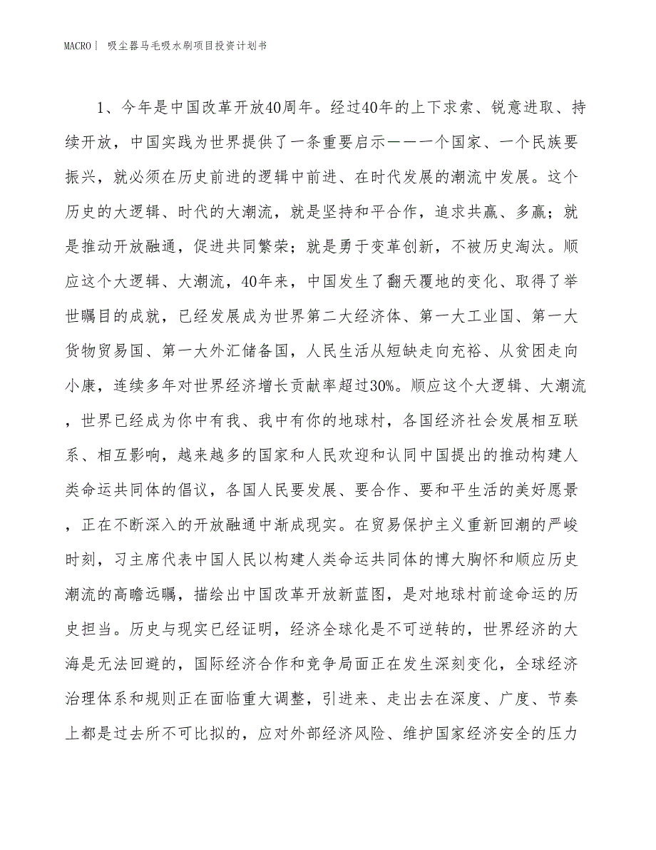 （招商引资报告）吸尘器马毛吸水刷项目投资计划书_第4页