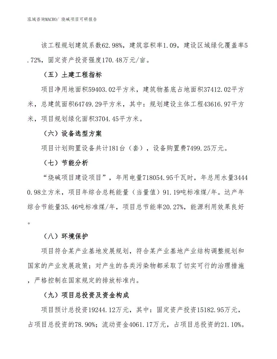 烧碱项目可研报告_第3页