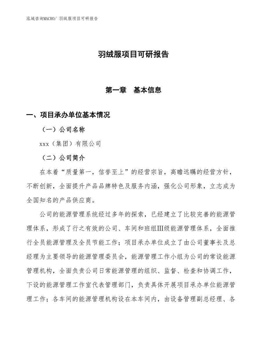 羽绒服项目可研报告_第1页