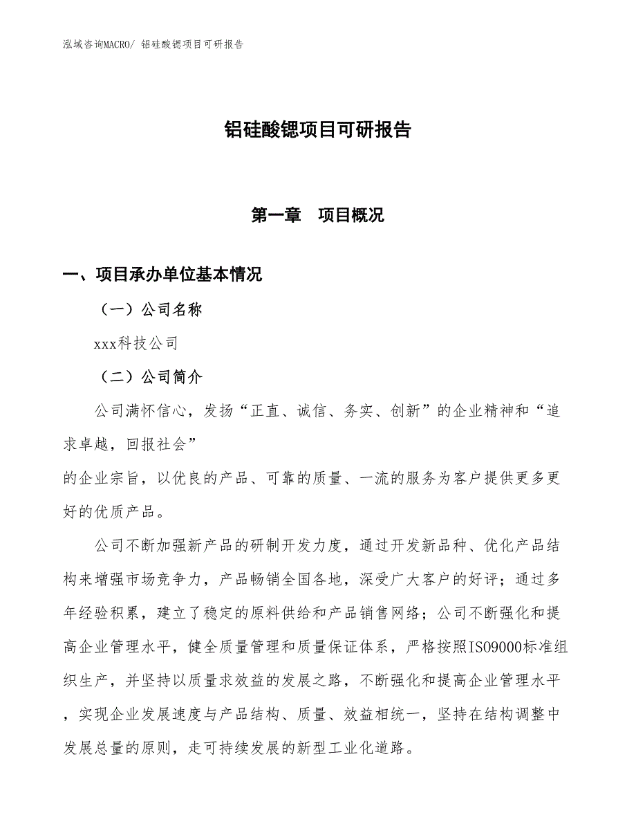 铝硅酸锶项目可研报告_第1页