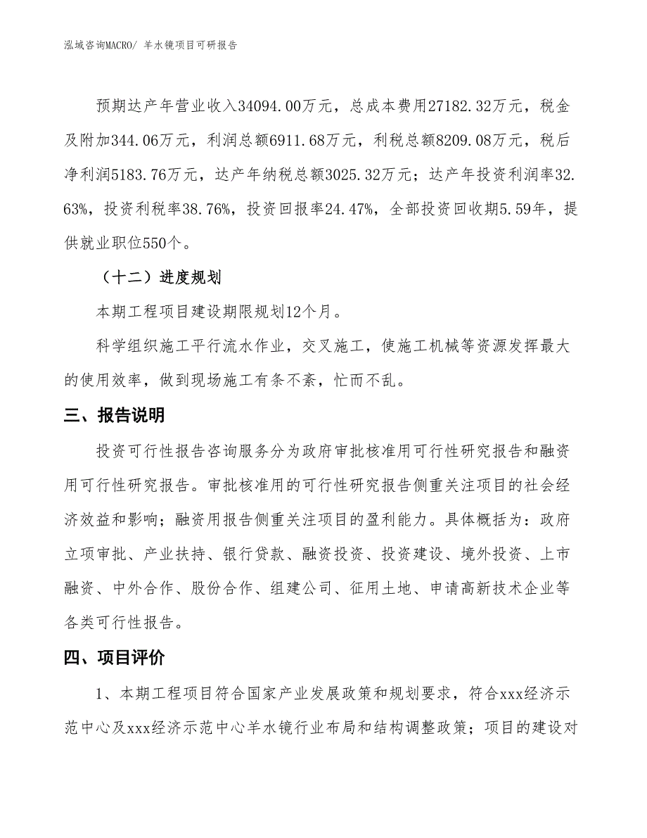 羊水镜项目可研报告_第4页