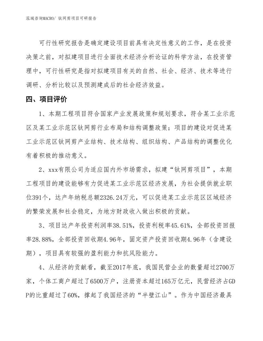 钛网剪项目可研报告_第5页