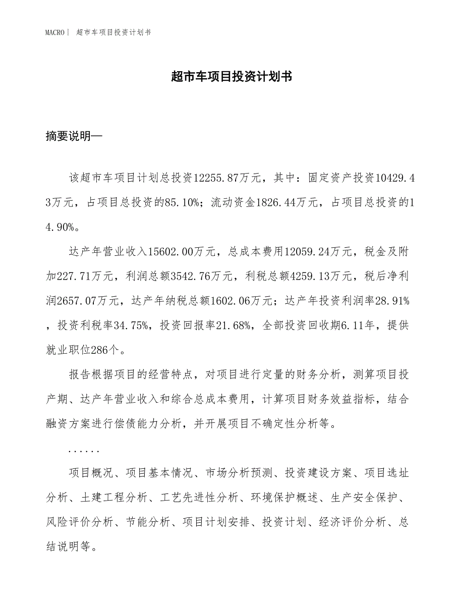 （招商引资报告）超市车项目投资计划书_第1页