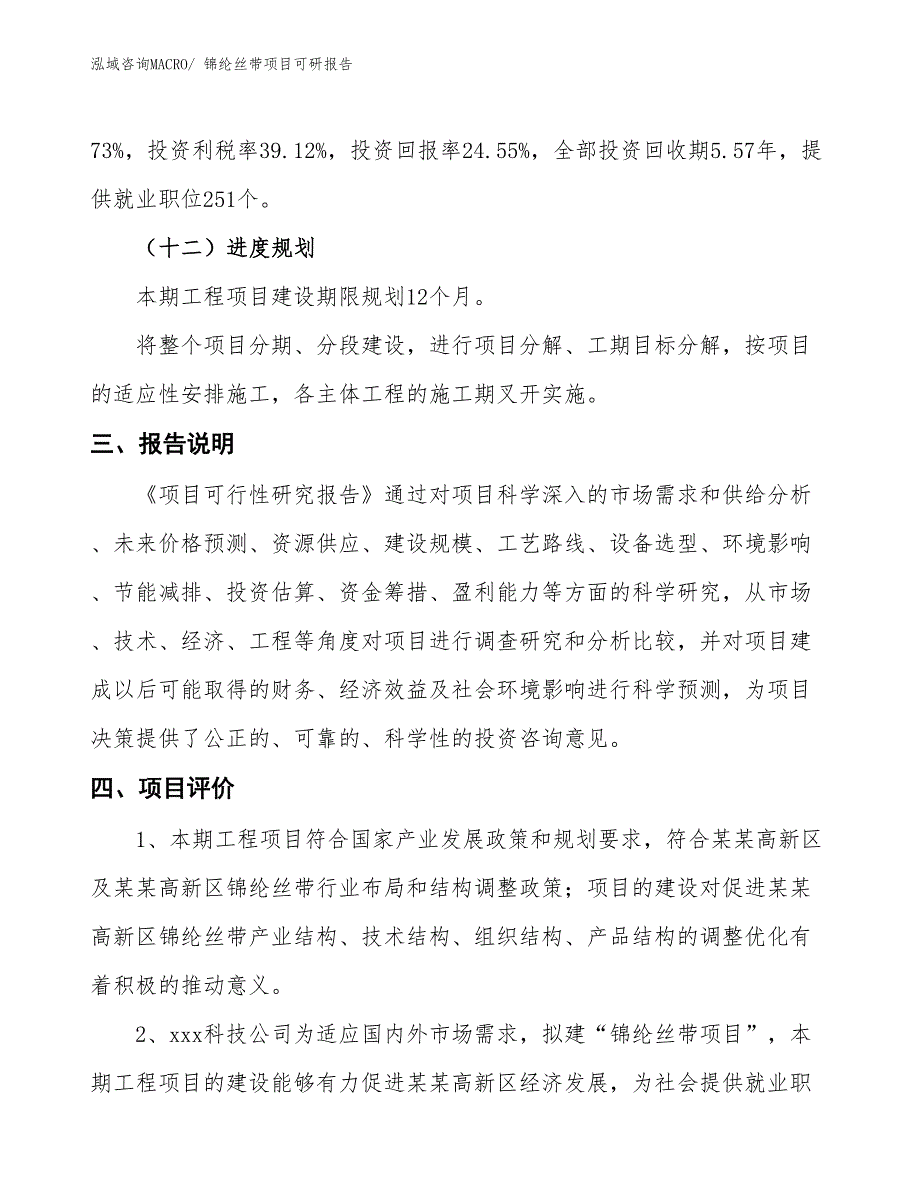 锦纶丝带项目可研报告_第4页