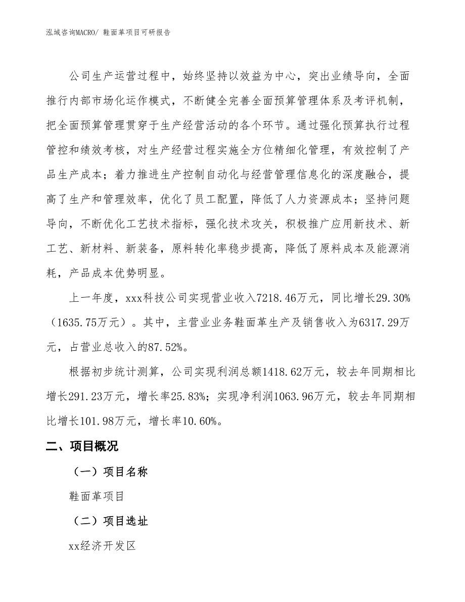 鞋面革项目可研报告_第2页