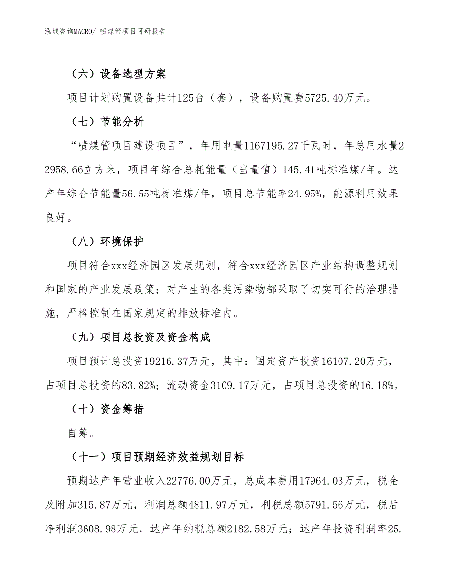 喷煤管项目可研报告_第3页