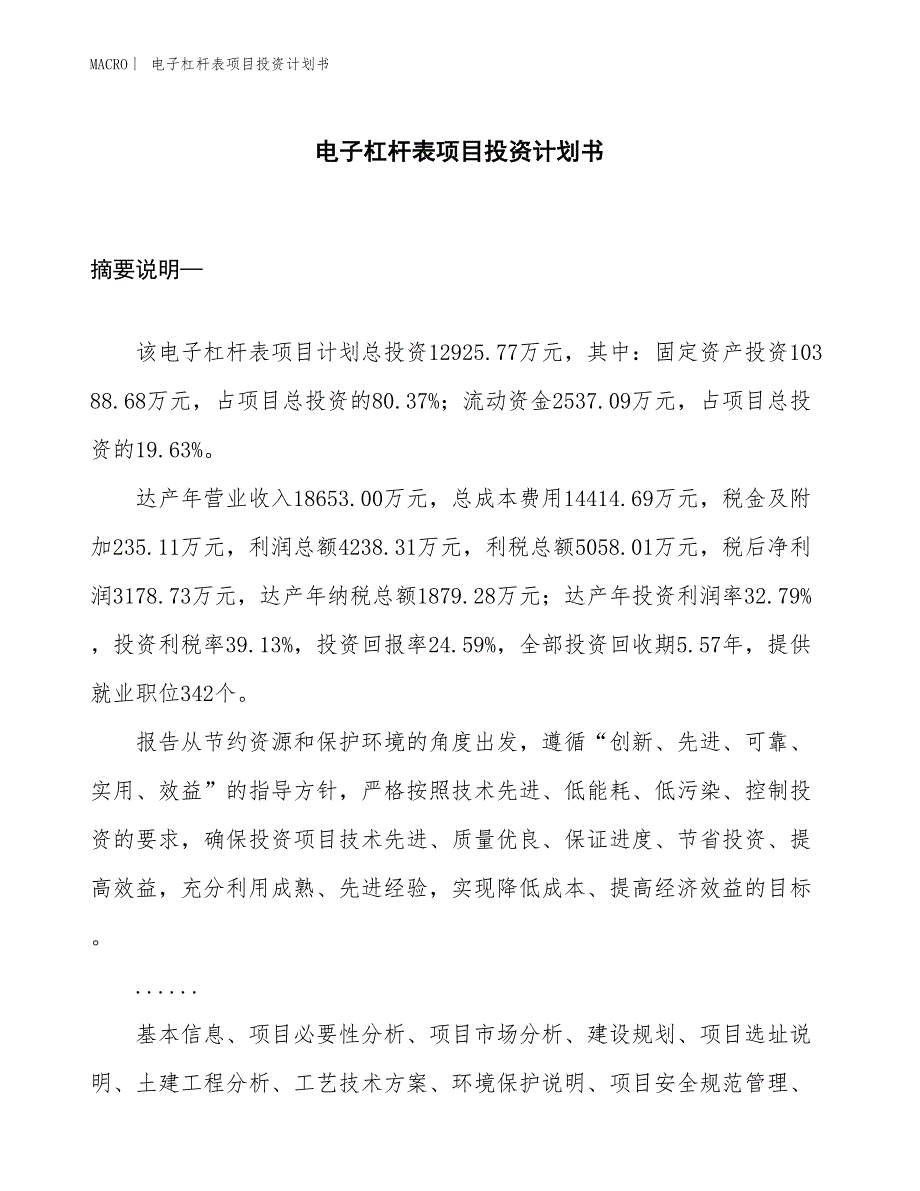 （招商引资报告）电子杠杆表项目投资计划书_第1页