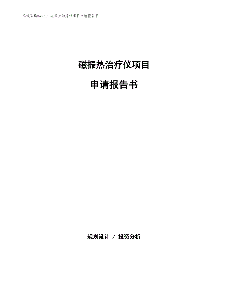 磁振热治疗仪项目申请报告书_第1页