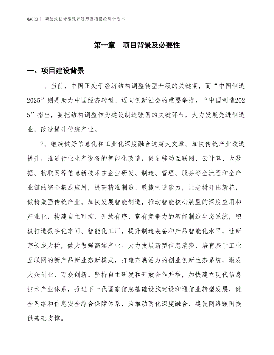 （招商引资报告）凝胶式韧带型踝部矫形器项目投资计划书_第2页