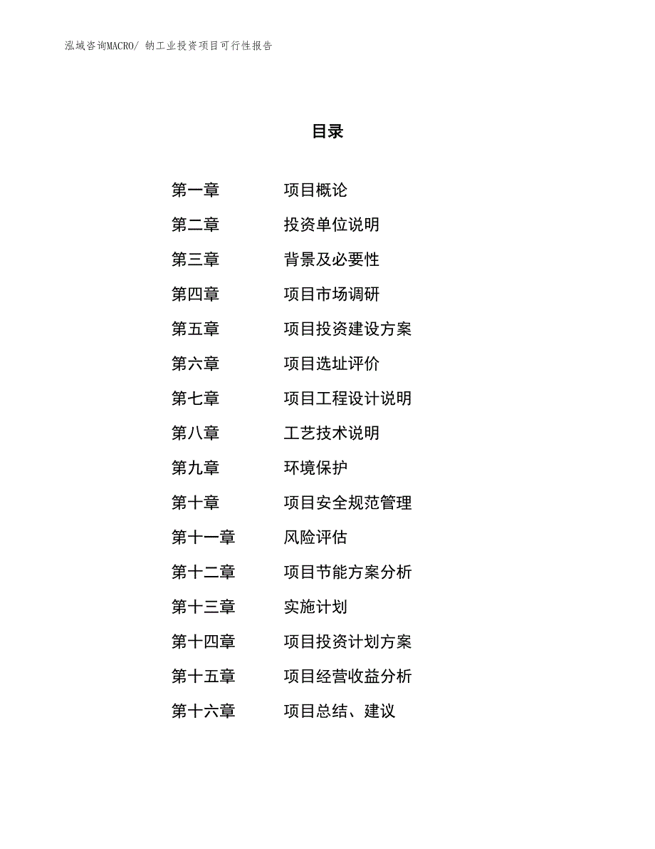 （项目申请）钠工业投资项目可行性报告_第1页