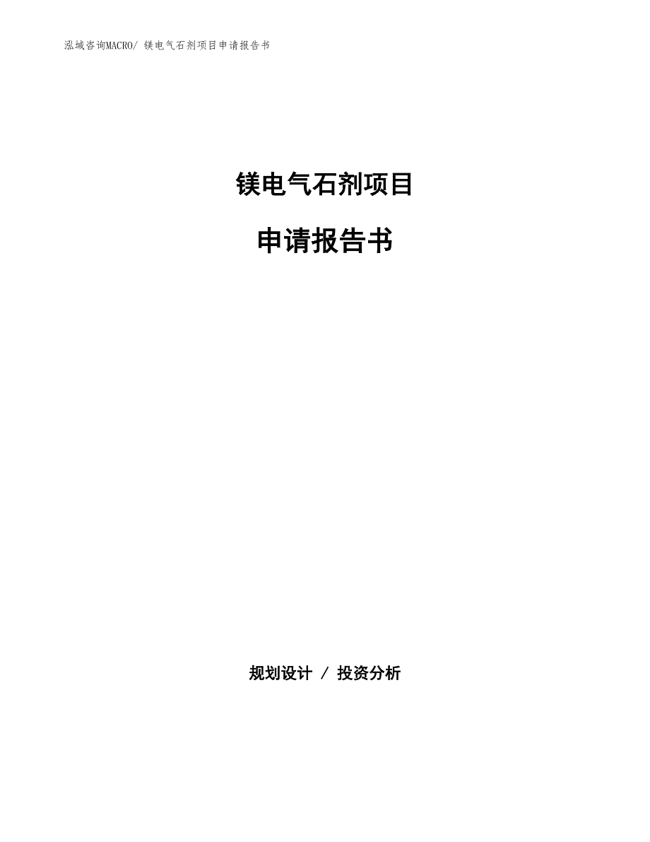 镁电气石剂项目申请报告书_第1页