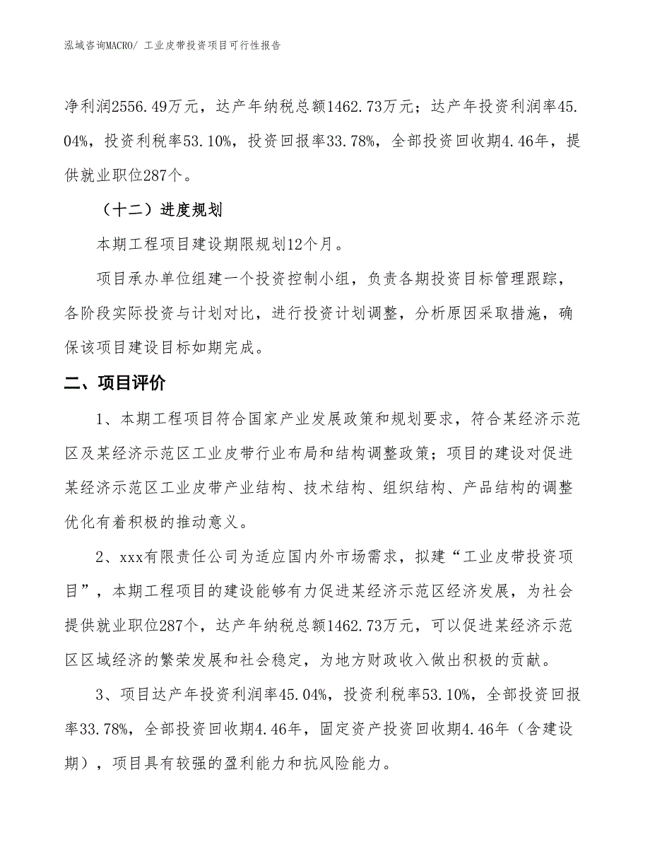 （项目申请）工业皮带投资项目可行性报告_第4页