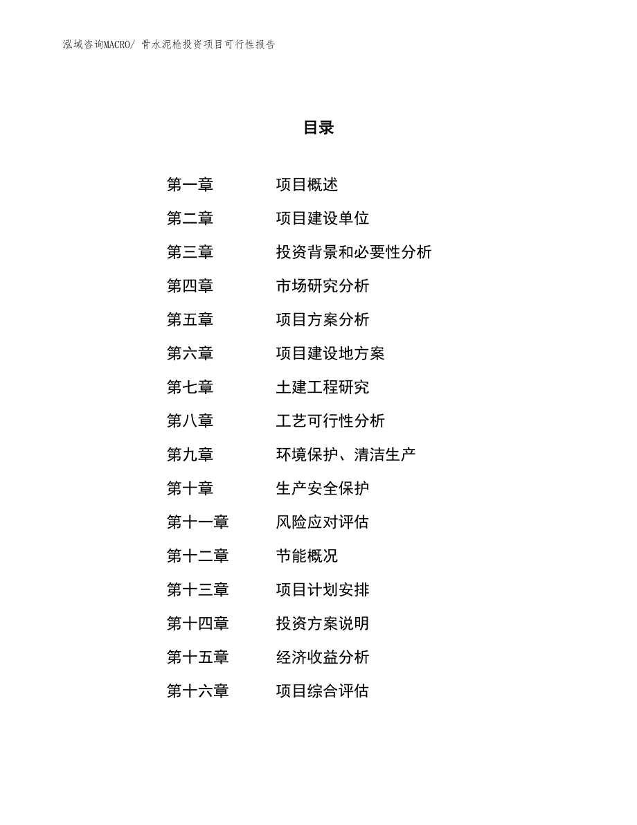 （项目申请）骨水泥枪投资项目可行性报告_第1页