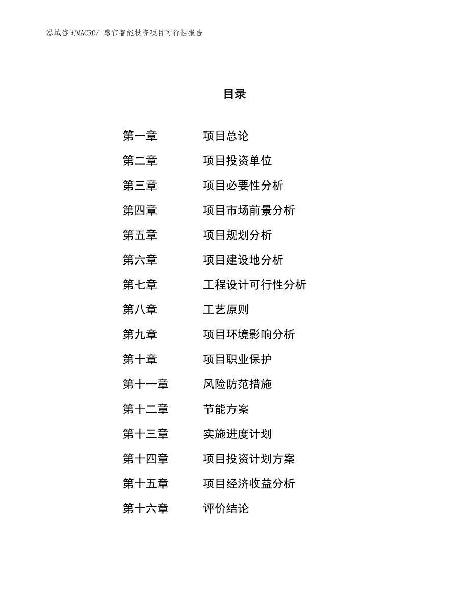 （项目申请）感官智能投资项目可行性报告_第1页