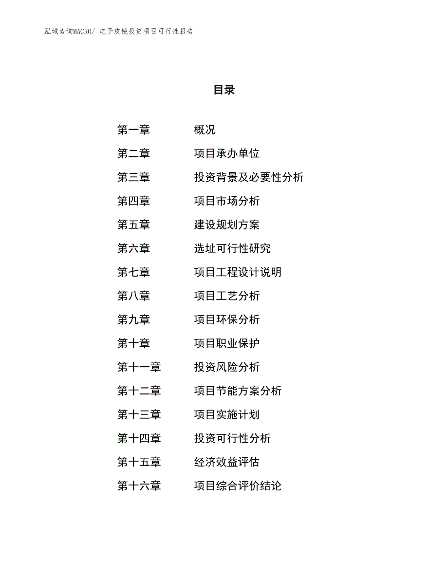 （项目申请）电子皮镜投资项目可行性报告_第1页