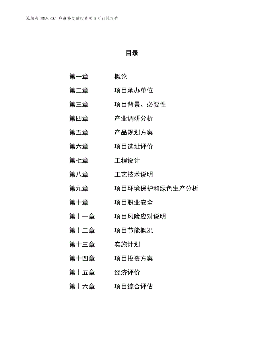 （项目申请）疤痕修复贴投资项目可行性报告_第1页