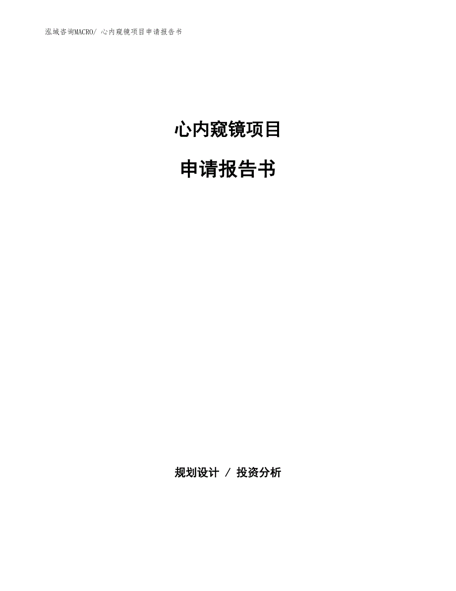 心内窥镜项目申请报告书_第1页