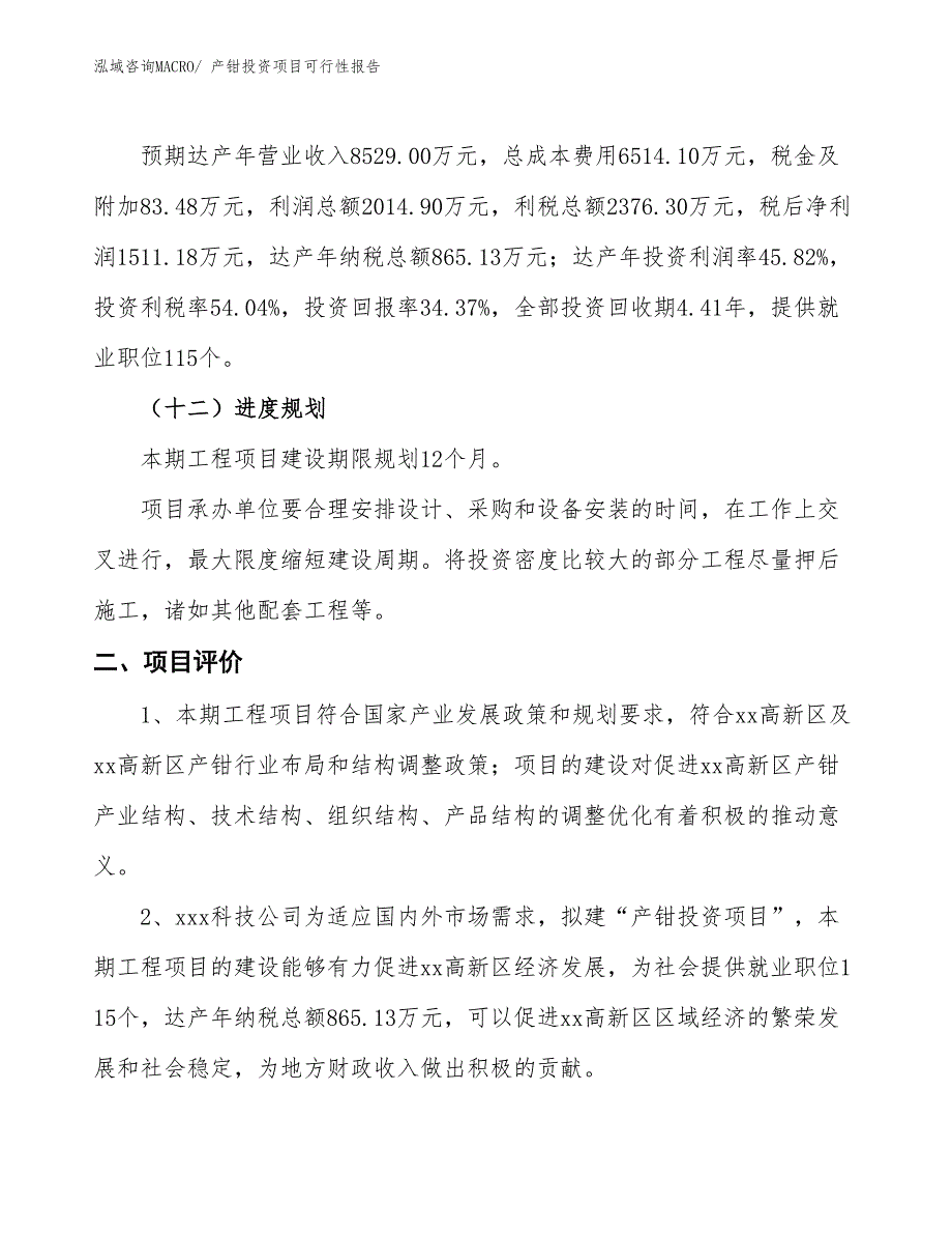 （项目申请）产钳投资项目可行性报告_第4页