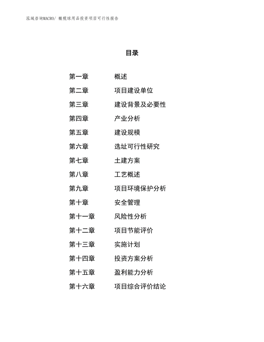 （项目申请）橄榄球用品投资项目可行性报告_第1页