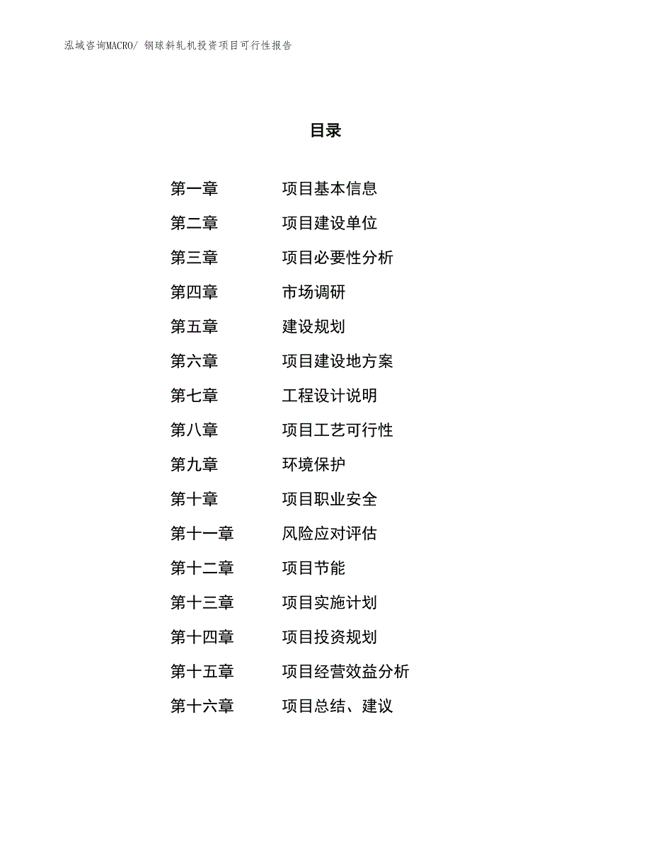 （项目申请）钢球斜轧机投资项目可行性报告_第1页