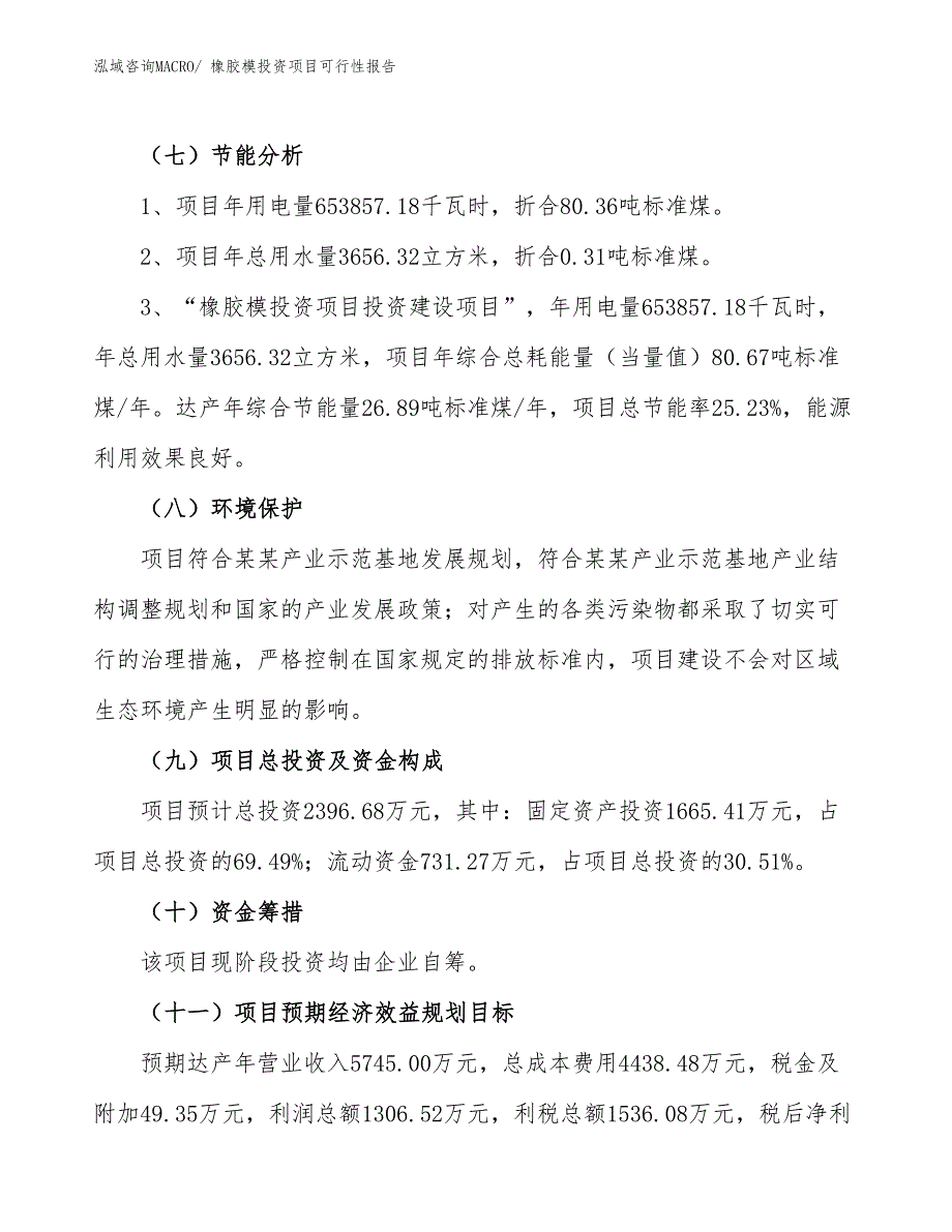 （项目申请）橡胶模投资项目可行性报告_第3页