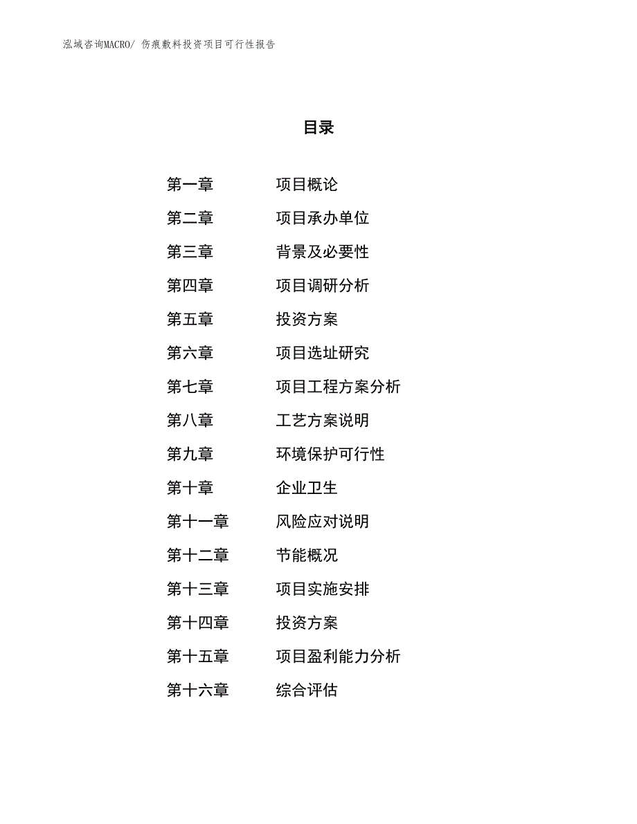 （项目申请）伤痕敷料投资项目可行性报告_第1页