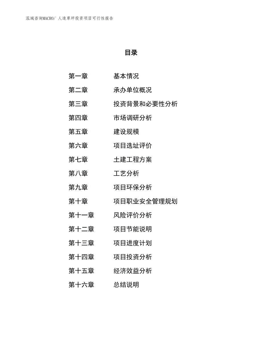 （项目申请）人造草坪投资项目可行性报告_第1页