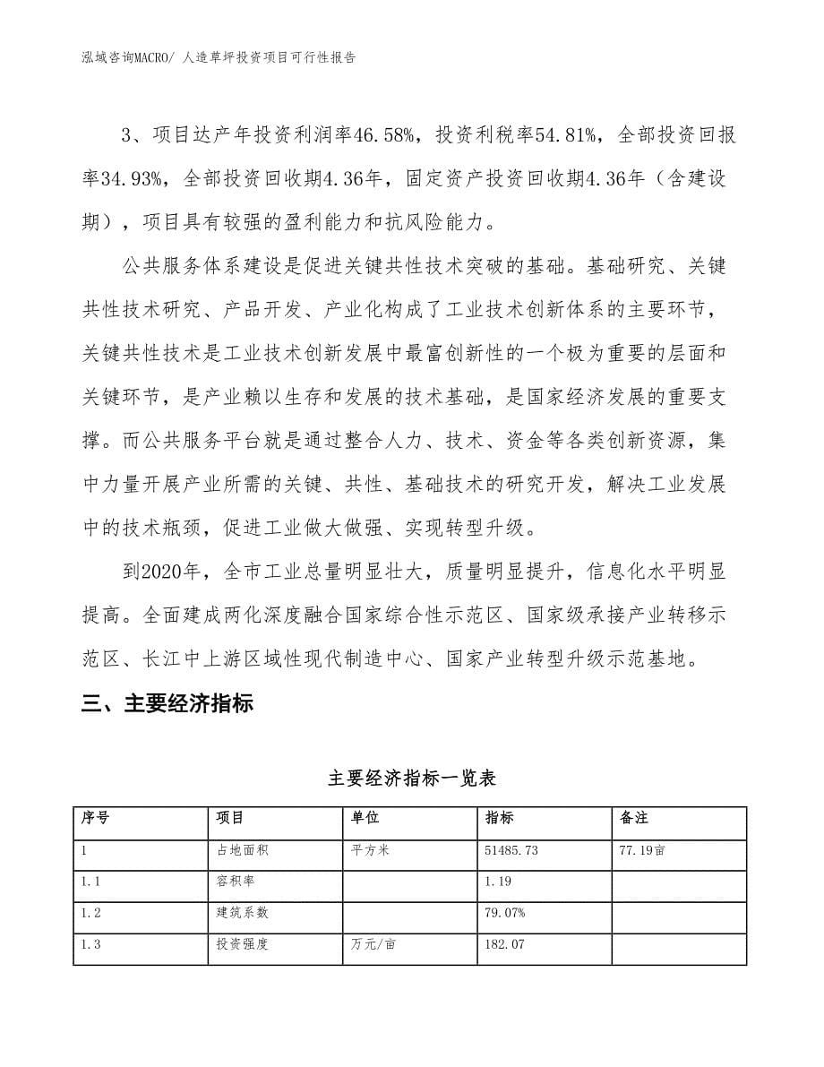 （项目申请）人造草坪投资项目可行性报告_第5页