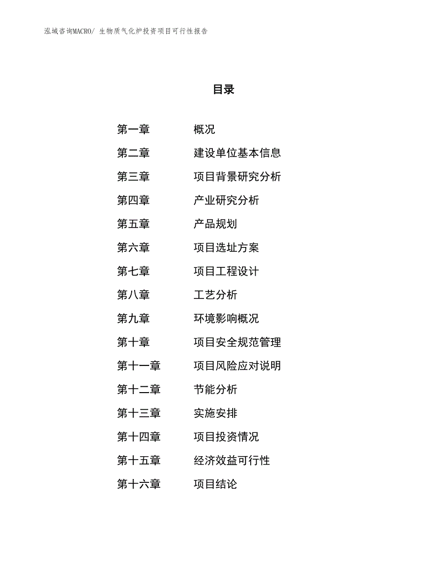 （项目申请）生物质气化炉投资项目可行性报告_第1页