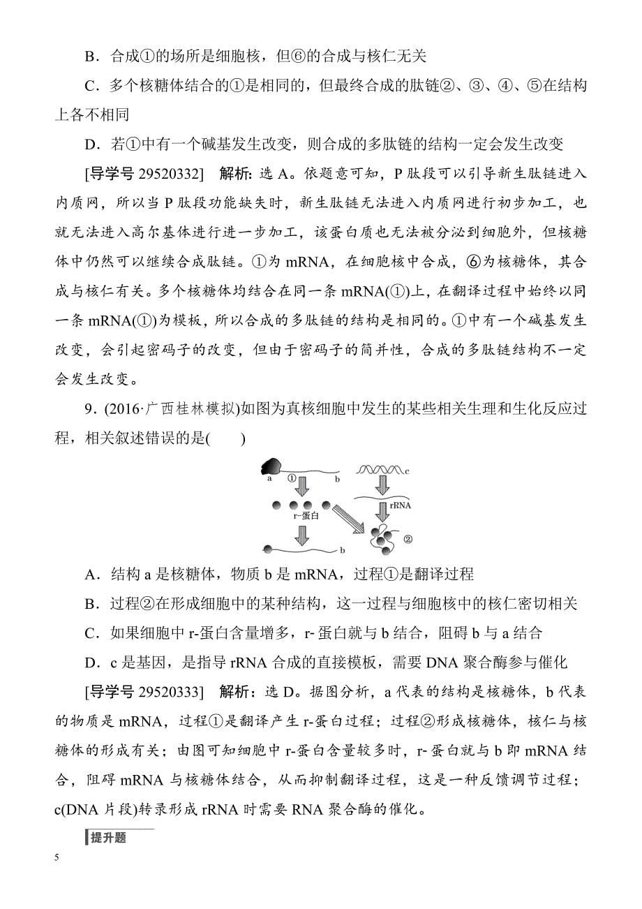 2018届高考生物综合能力突破复习训练35(基因控制蛋白质的合成)__第5页