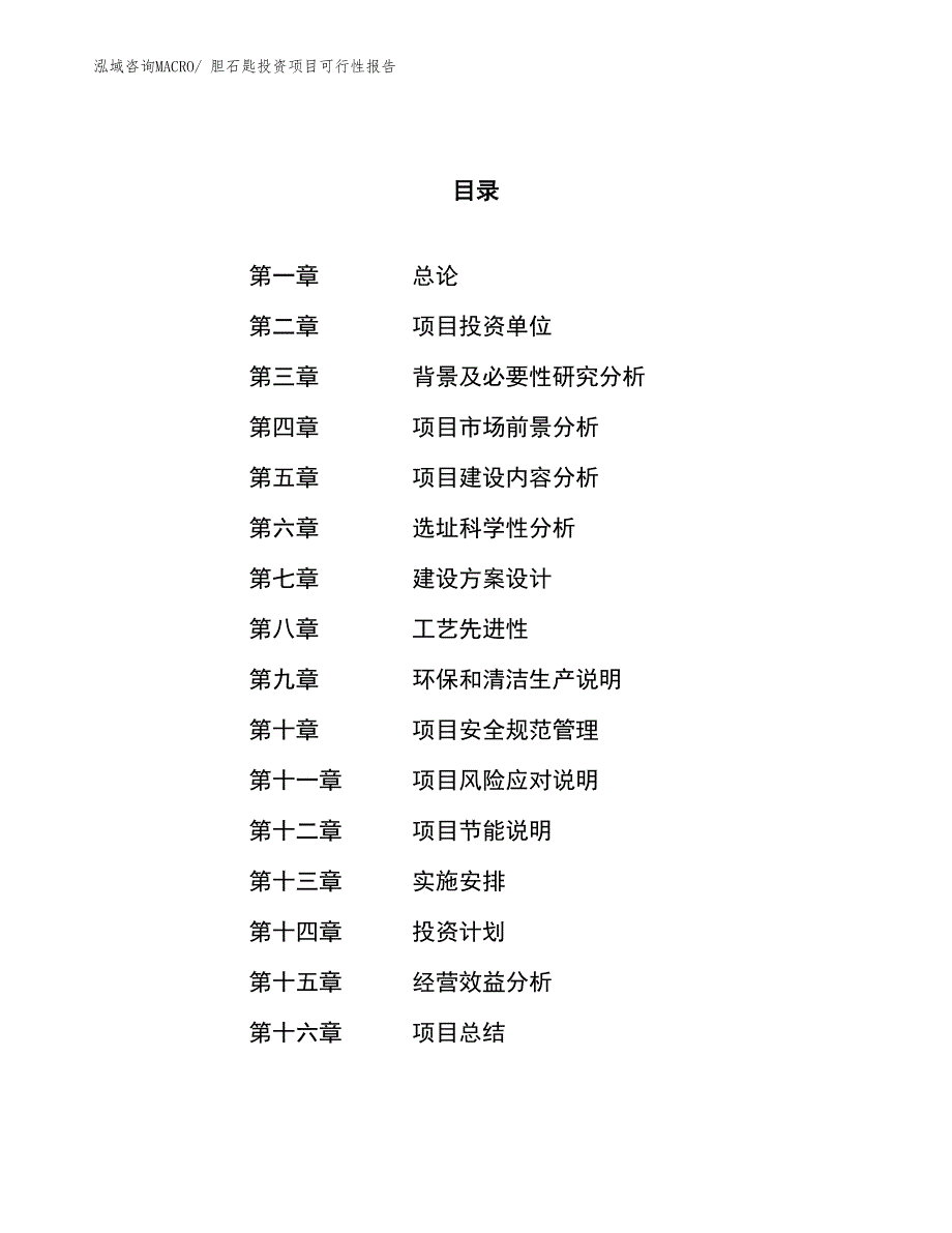 （项目申请）胆石匙投资项目可行性报告_第1页