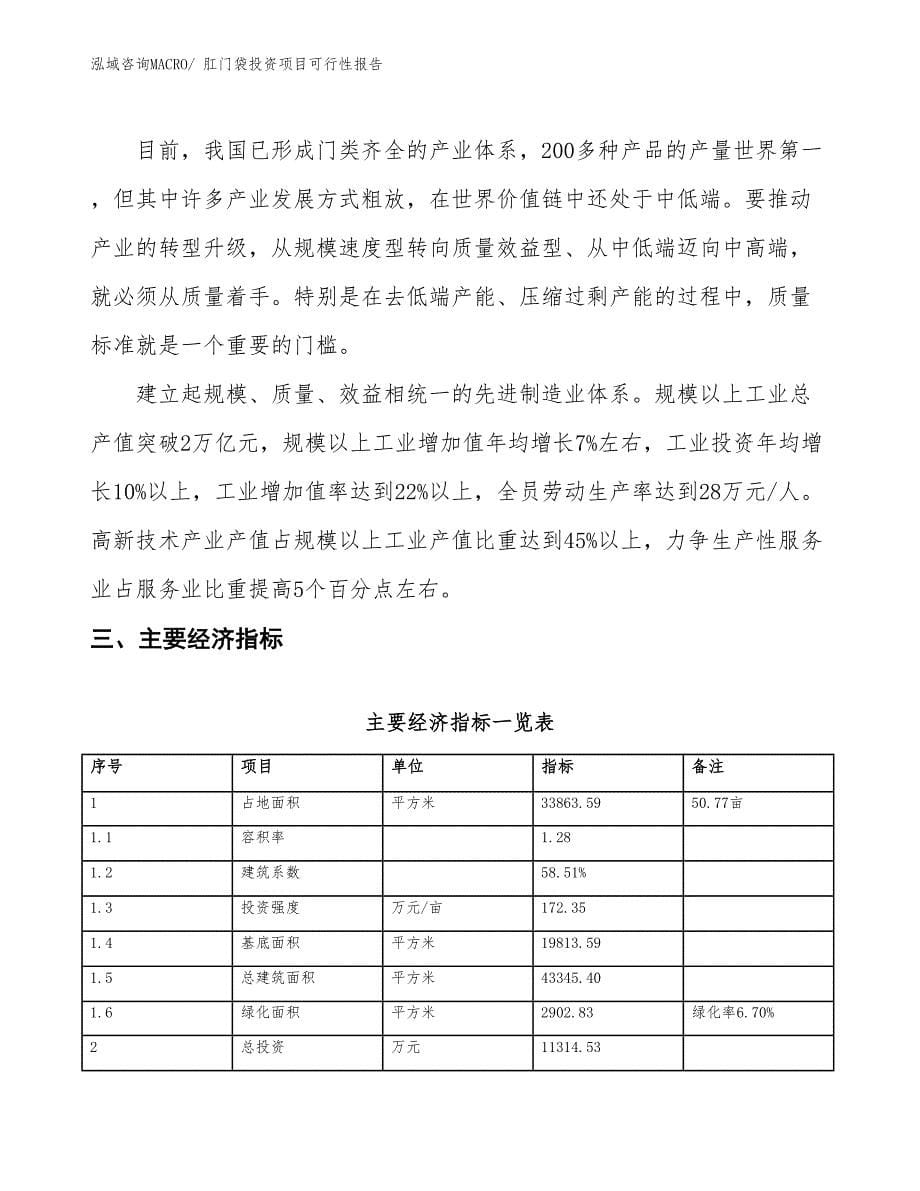 （项目申请）肛门袋投资项目可行性报告_第5页