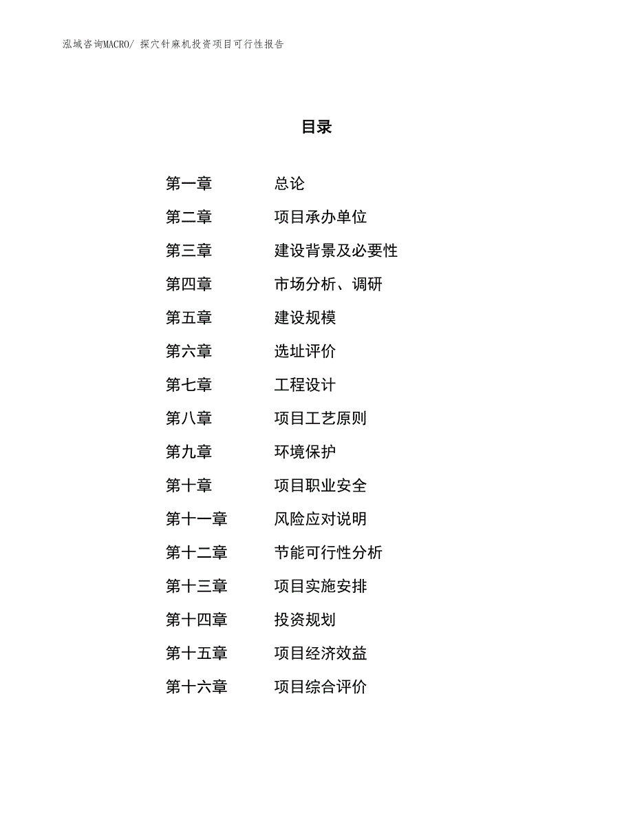 （项目申请）探穴针麻机投资项目可行性报告_第1页