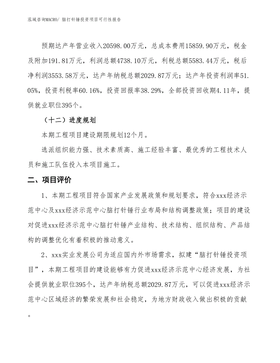 （项目申请）脑打针锤投资项目可行性报告_第4页