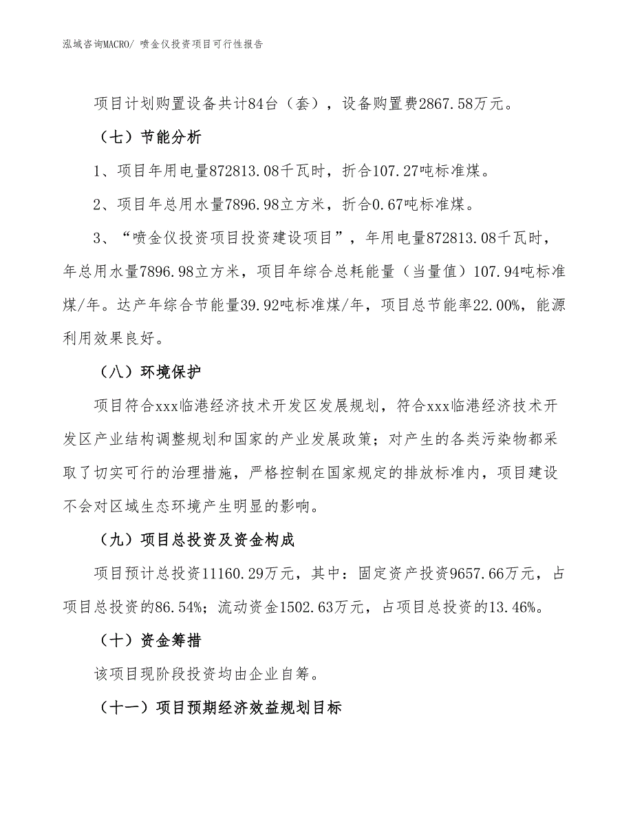 （项目申请）喷金仪投资项目可行性报告_第3页