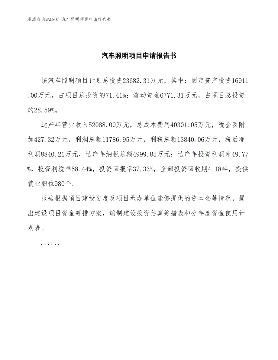 汽车照明项目申请报告书_第2页