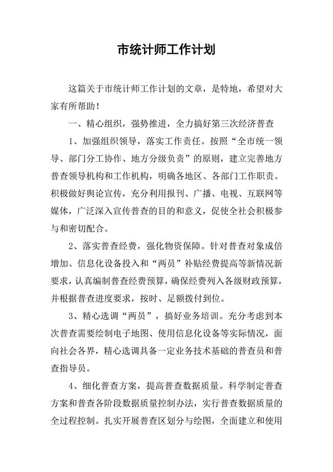 市统计师工作计划.doc