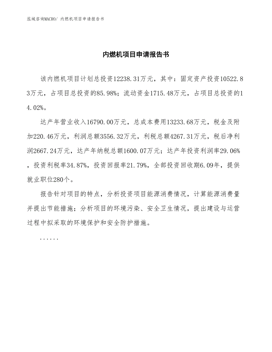 内燃机项目申请报告书 (1)_第2页