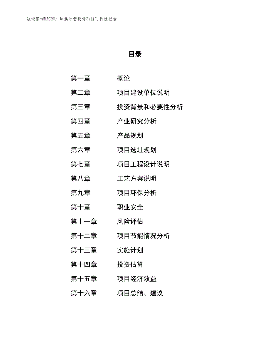 （项目申请）球囊导管投资项目可行性报告_第1页