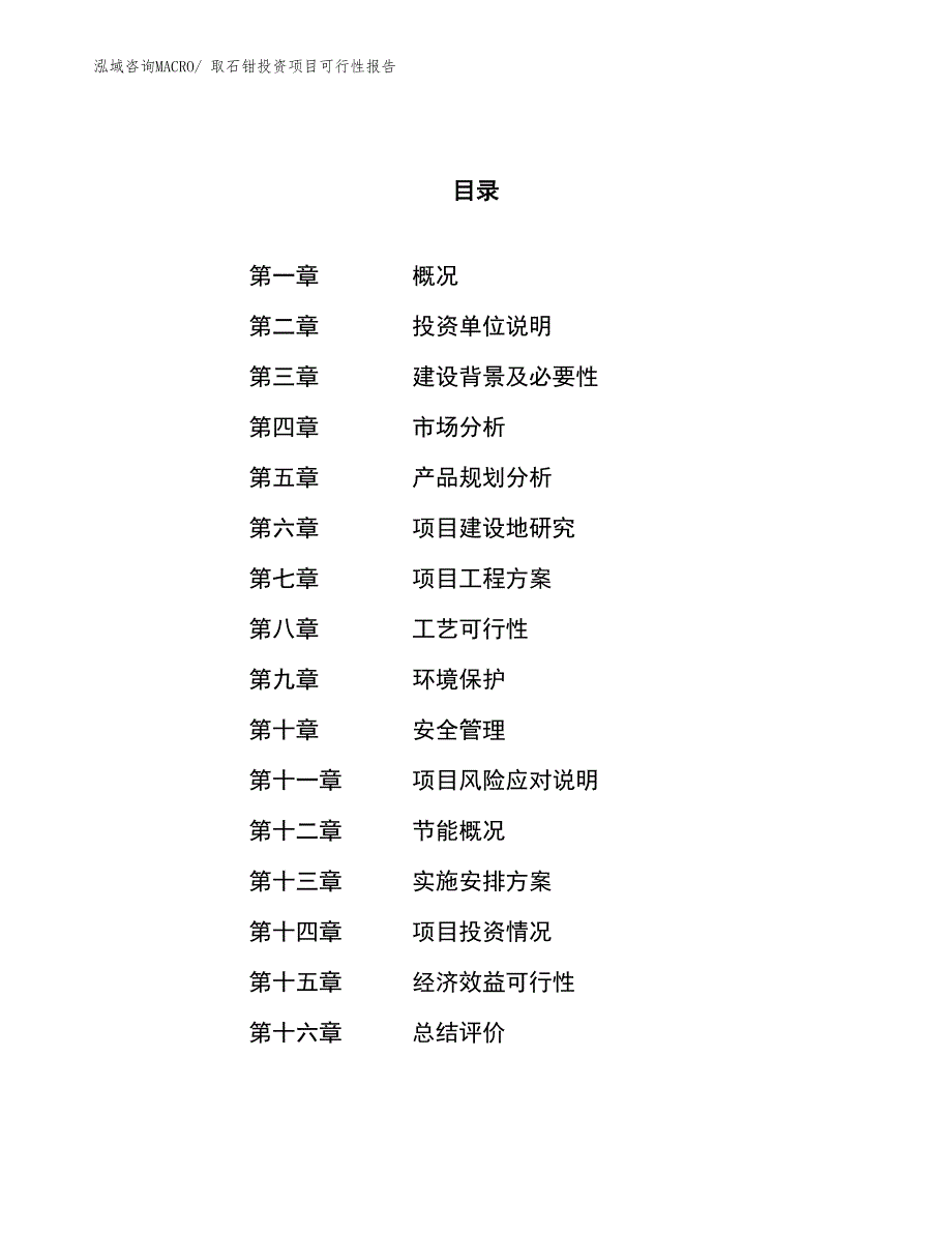 （项目申请）取石钳投资项目可行性报告_第1页