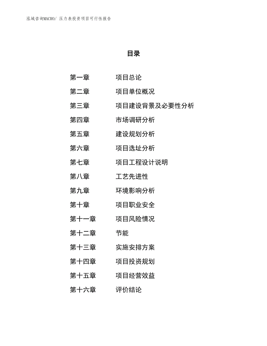 （项目申请）压力表投资项目可行性报告_第1页