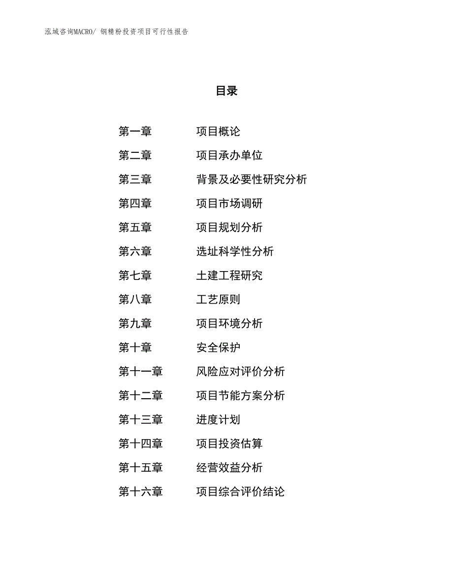 （项目申请）钢精粉投资项目可行性报告_第1页